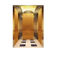 marca de ascensor pasajero barato ascensor estándar cabina de acero inoxidable con puertas de acero pintada